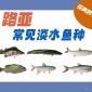路亚的路亚饵|手法|地点|时间攻略大全（100