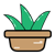 植物