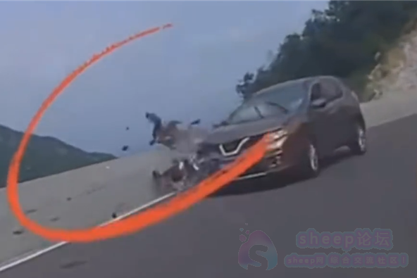 跑山摩托车骑手撞车后坠崖身亡