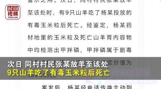 热搜！村民自家地丢毒玉米粒，致9羊死被判缓刑！
