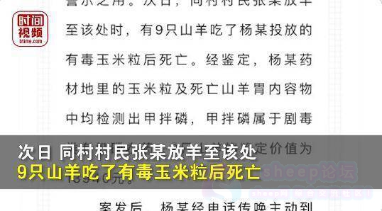 热搜！村民自家地丢毒玉米粒，致9羊死被判缓刑！