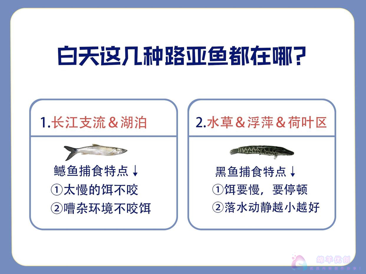 路亚的路亚饵|手法|地点|时间攻略大全（100种海水淡水鱼）