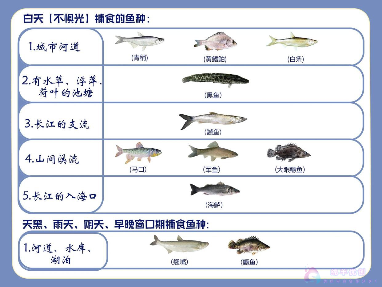 路亚的路亚饵|手法|地点|时间攻略大全（100种海水淡水鱼）